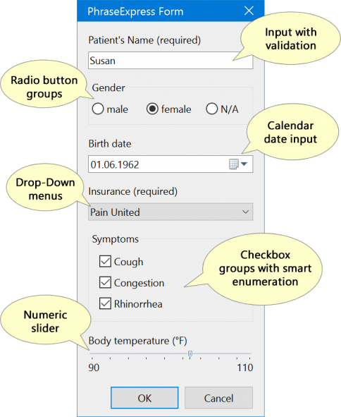 phraseexpress text input form phraseexpress text input form