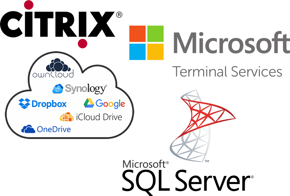 Textbausteine lassen sich Team gemeinsam im Netzwerk auch mit SQL Server und Citrix/TerminalServer nutzen.