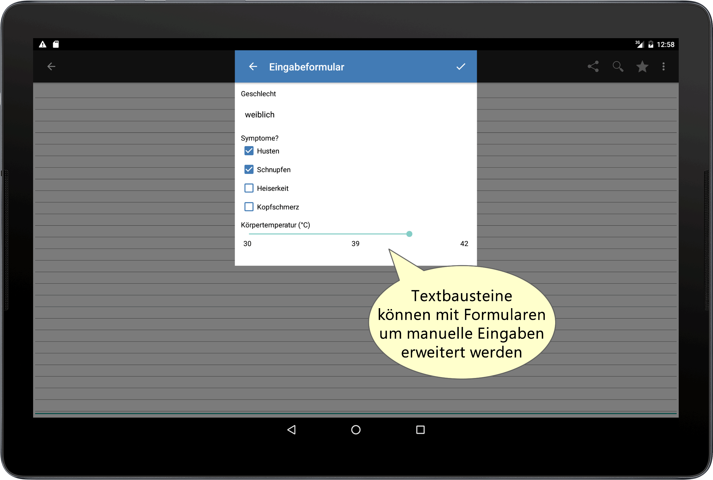 Vor dem Einfügen lassen sich Anwendereingaben dynamisch in den Textbaustein einbinden. Vor dem Einfügen lassen sich Anwendereingaben dynamisch in den Textbaustein einbinden.